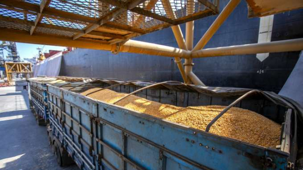 Porto de Paranaguá começa a receber milho de importação