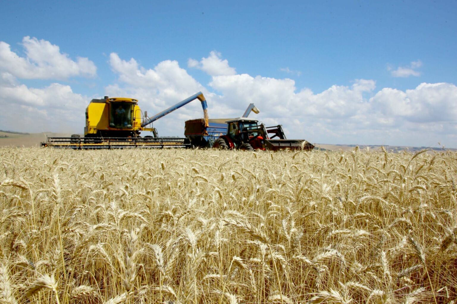 Safra de grãos 2020/21 deve chegar a 38 milhões de toneladas no Paraná