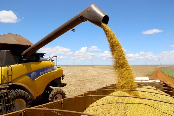 Paraná deve produzir 25,5 milhões de toneladas de grãos na safra de verão