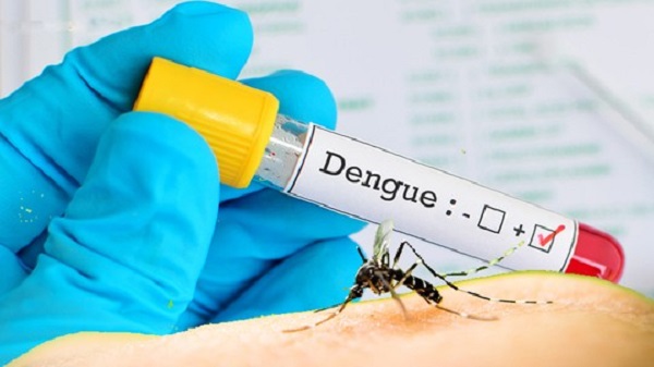 Boletim semanal da dengue registra mais 27 casos no Estado