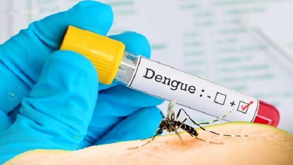 Informe semanal da dengue registra mais 36 casos no Paraná