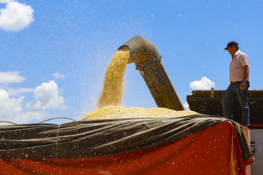 Safra de grãos de verão no Paraná pode chegar a 25,61 milhões de toneladas