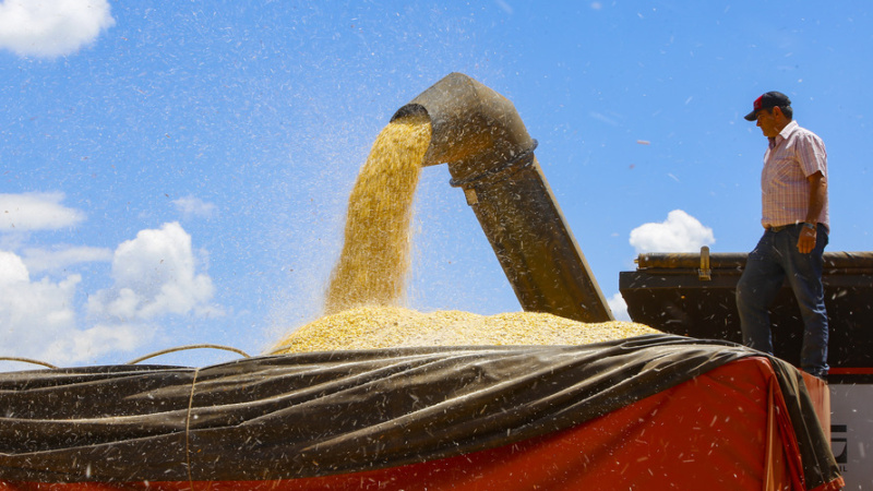 Safra de grãos de verão no Paraná pode chegar a 25,61 milhões de toneladas