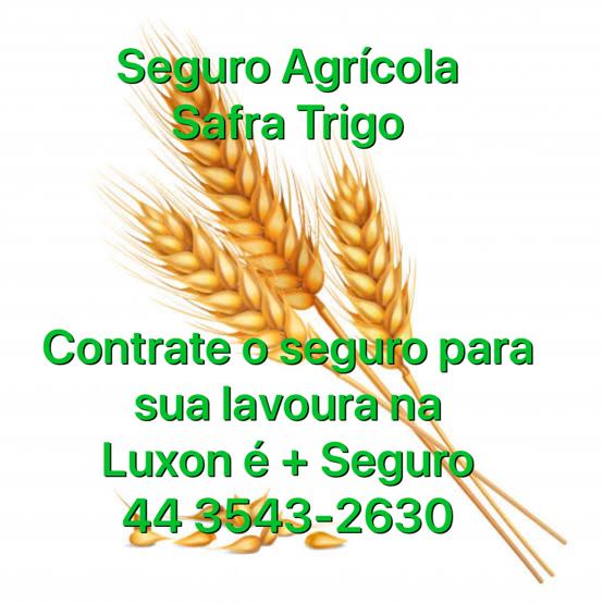 Previna – se: Contrate o seguro para safra de trigo da Luxon é + Seguro