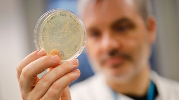 10 boas notícias sobre o coronavírus em meio a “pandemia de medo”