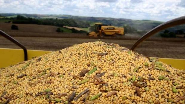 Safra de grãos deve crescer 3,1% em fevereiro