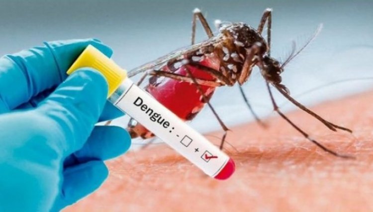 Paraná registra sétima morte por dengue desde agosto, diz boletim; total de casos chega a 3.424