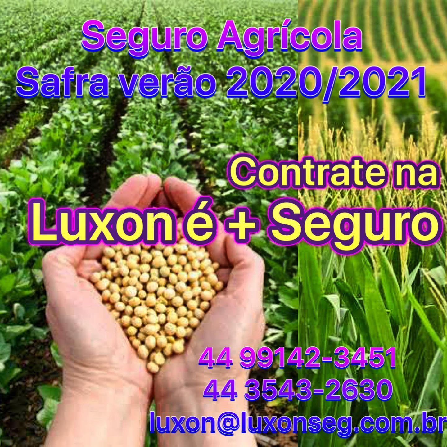 Seguro Agrícola: Contrate o seguro para safra verão 2020/2021 na Luxon é + Seguro e fique tranquilo