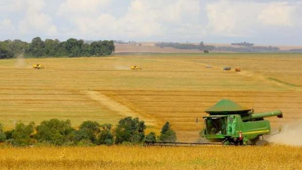 Safra de grãos do Paraná deve atingir 41 milhões de toneladas