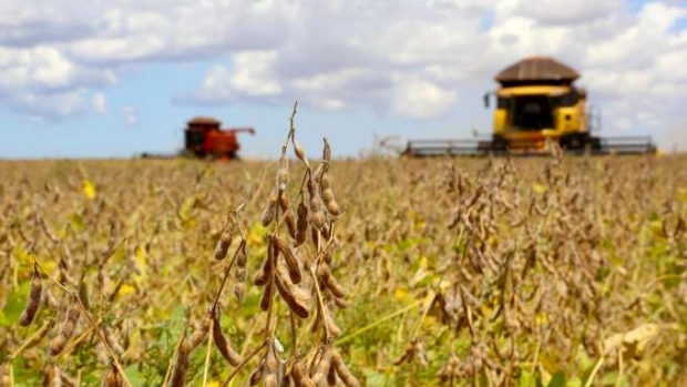 Paraná pode colher 40,9 milhões de toneladas de grãos