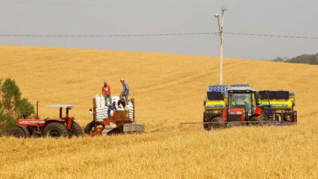 Com previsão de 5,5 milhões de hectares, Paraná inicia plantio da soja