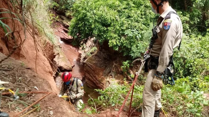 Homem de 69 anos é encontrado morto após cair de altura de 15 metros em ribanceira no noroeste do Paraná