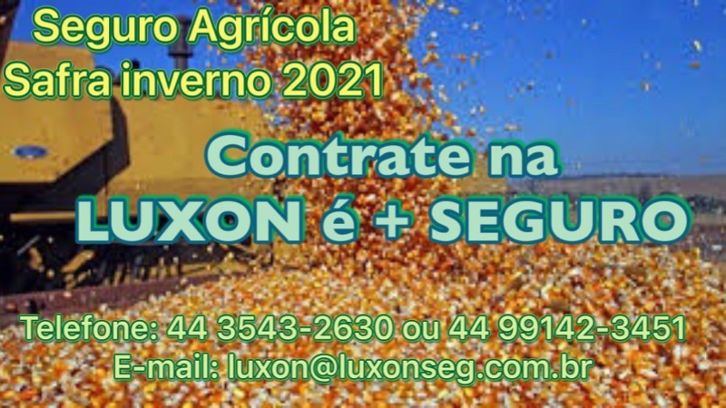 Seguro Agrícola: Contrate o seguro para safra inverno 2021 na Luxon é + Seguro e fique tranquilo