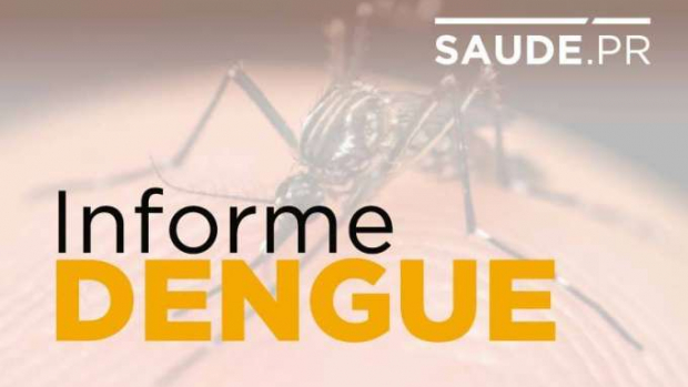 Doença causada pelo Aedes aegypti mata mais uma pessoa no Paraná