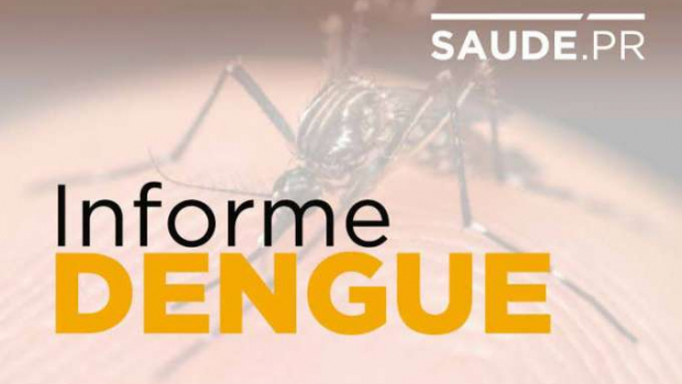 Paraná registra 1.946 casos de dengue no período epidemiológico
