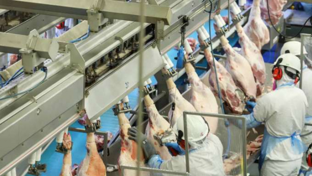 Paraná ampliou a produção de carnes em 2020