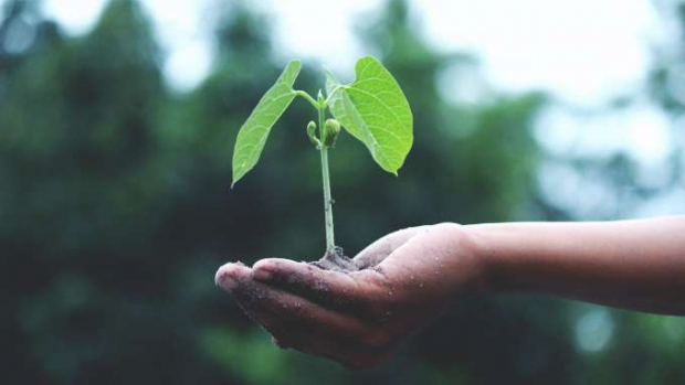 Paraná apresenta iniciativas sustentáveis na agropecuária