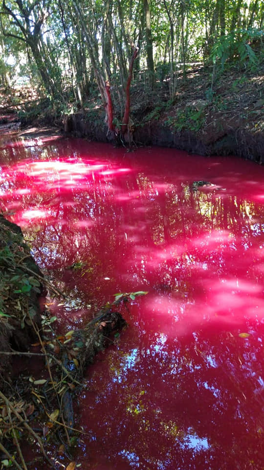 Água de rio amanhece vermelha e gera curiosidade em moradores de cidade no Paraná