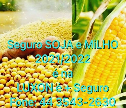 Previna – se: Contrate o seguro para safra de soja e milho 2021/2022 na Luxon é + Seguro