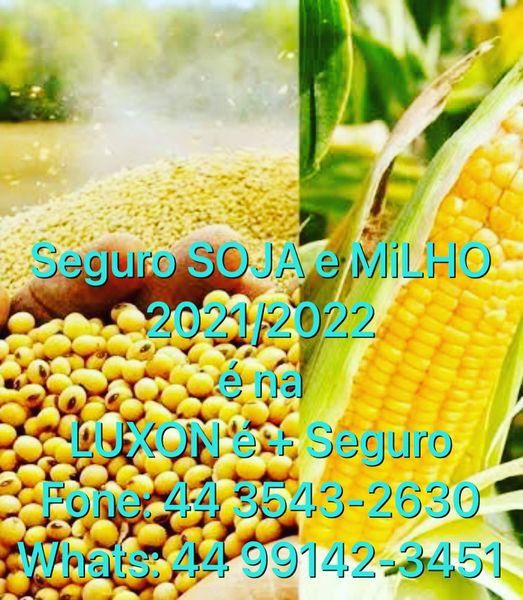 Previna – se: Contrate o seguro para safra de soja e milho 2021/2022 na Luxon é + Seguro