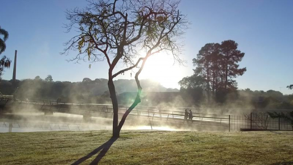 Inverno começa nesta quarta-feira (21): Simepar prevê poucas ondas de frio, veranicos, nevoeiros e geadas