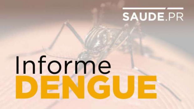 Paraná registra três novos óbitos provocados pela dengue