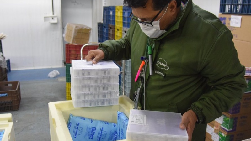 Lote com 114 mil vacinas contra a Covid-19 chega ao PR; região recebe mais 1.422 doses