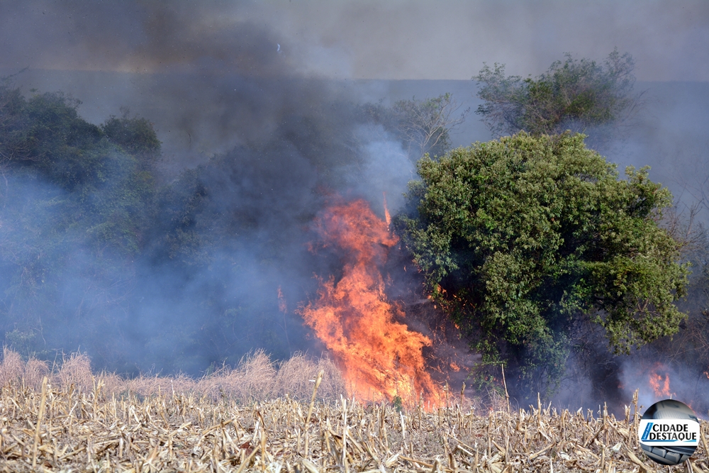 Incêndio de grandes proporções atinge área de lavoura e de mata em Mamborê