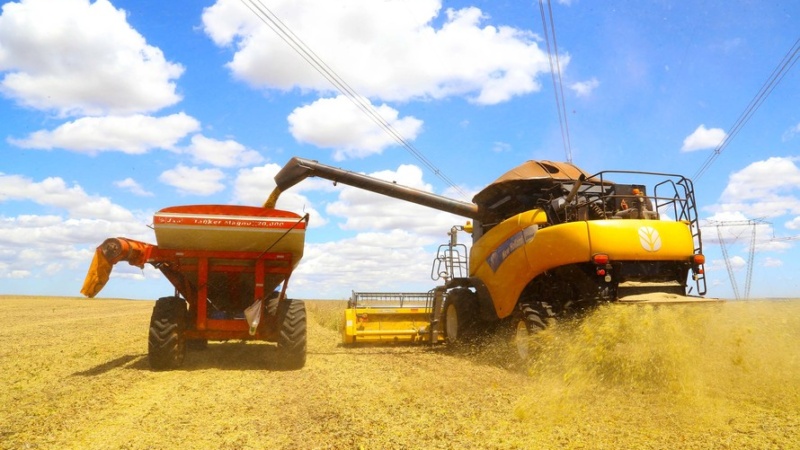 Paraná deve produzir 25,37 milhões de toneladas de grãos na safra de verão
