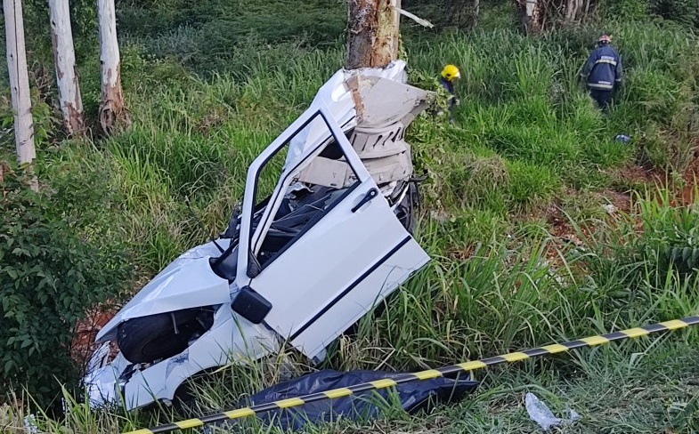 Carro parte ao meio ao bater em árvore e motorista morre na BR 369