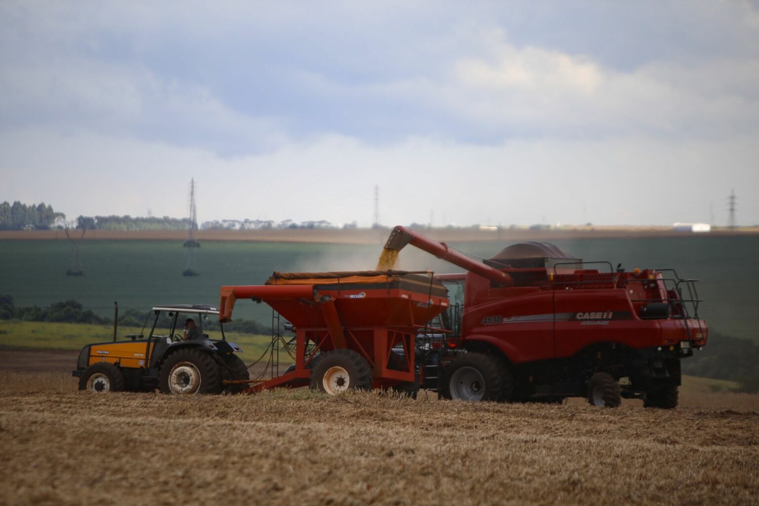 Com estiagem, previsão de safra da Agricultura aponta redução de 39% no potencial da soja