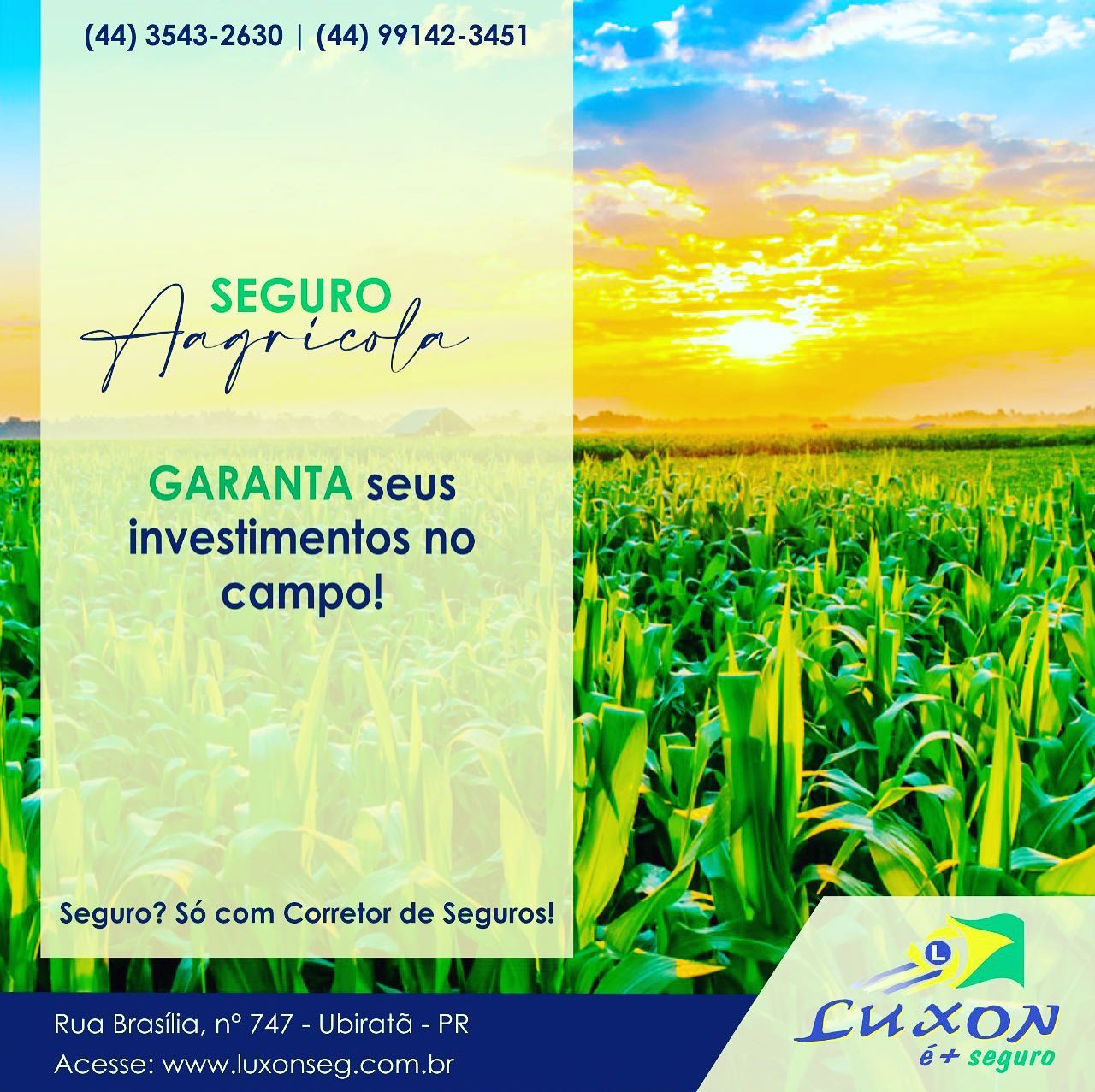 Contrate o Seguro Agrícola da Luxon é + Seguro e fique tranquilo