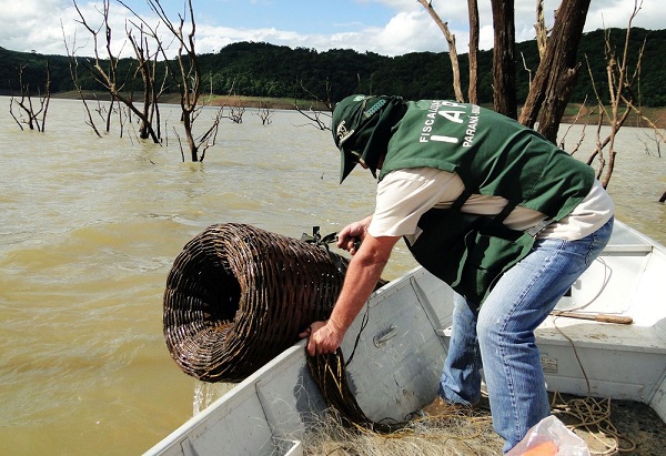 Piracema termina e pesca volta a ser liberada no Paraná