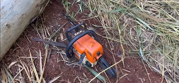 Trabalhador morre esmagado por eucalipto na área rural de Nova Santa Rosa