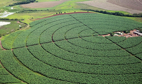 IBGE estima safra recorde de 261,5 milhões de toneladas em 2022