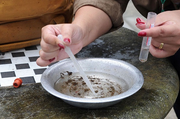 Paraná registra mais 119 casos de dengue; monitoramento da doença é permanente no Estado