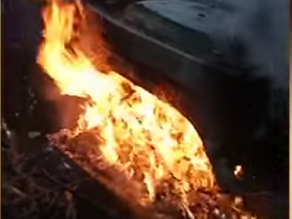Carro pega fogo após cair de barranco em rodovia próximo a Campina da Lagoa