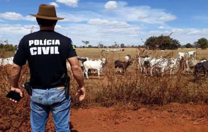 PCPR Desarticula grupo em Ubiratã responsável por roubo de gado na região
