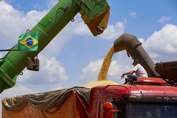 Paraná tem a melhor classificação do Brasil em potencialidade agrícola, segundo estudo do IBGE