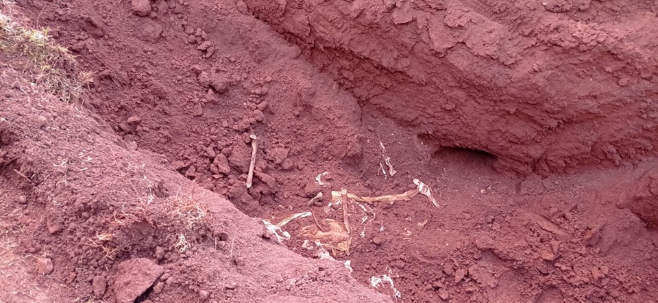 Restos mortais humanos são encontrados durante escavação de rede de esgoto em Campo Mourão
