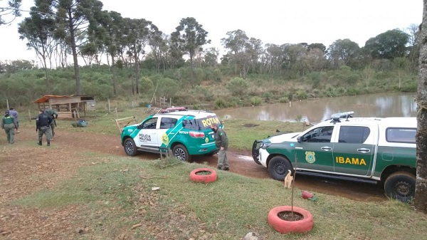 Youtuber é multado em mais de 100 mil reais pelo Ibama por montar armadilhas para animais e mostrar a seguidores no Paraná