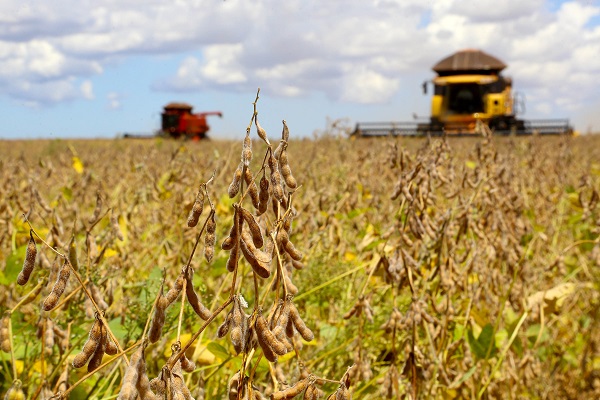 Paraná pode colher 20,8 milhões de toneladas de soja, maior volume da história