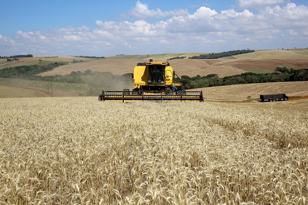 Setor agropecuário do Paraná alcançou os maiores patamares da história nos últimos anos