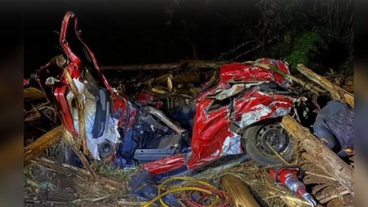 Cinco pessoas morrem prensadas por toras em rodovia do Paraná; Uno com placas de Campina da Lagoa foi esmagado