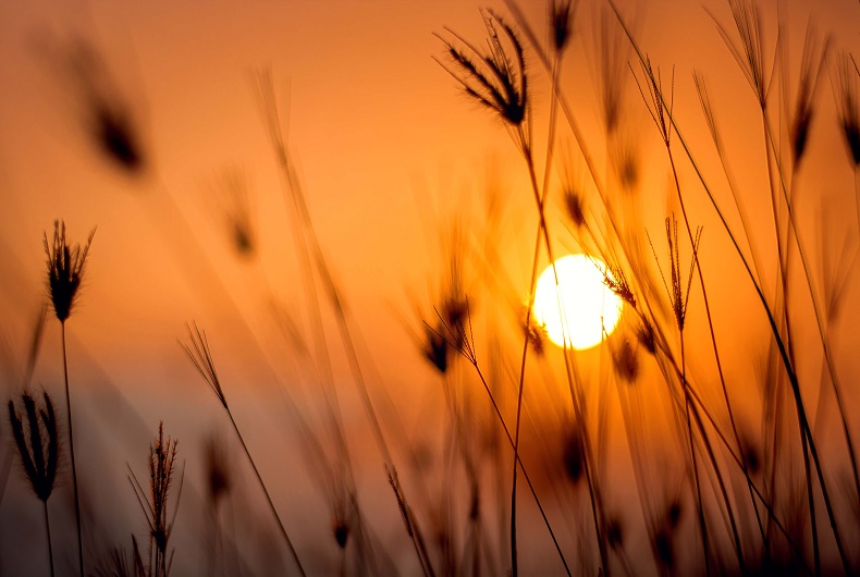 Verão terá dias muito quentes, máximas acima de 30°C e chuvas intensas no Paraná