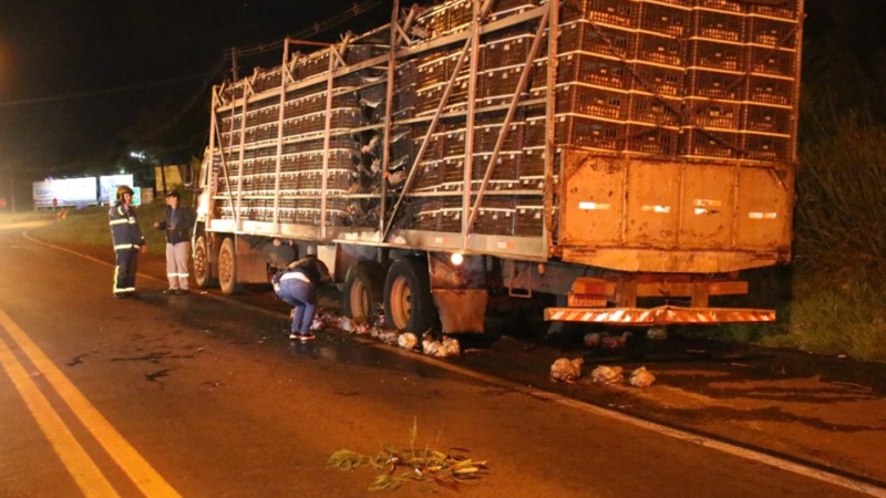 Mais de 300 frangos morrem após incêndio em caminhão de frigorífico