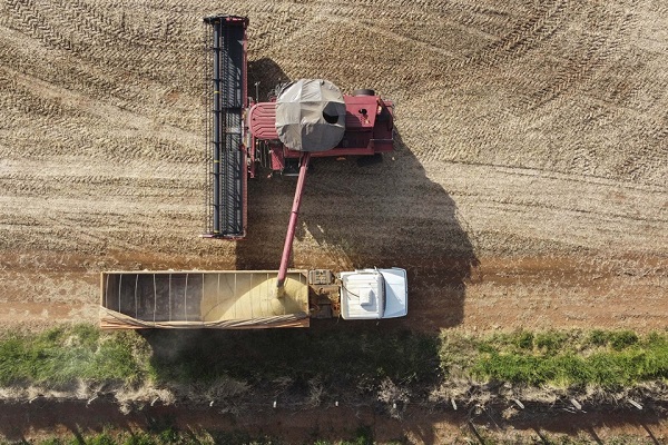 Apesar do clima, agropecuária do Paraná manteve alto rendimento em 2022