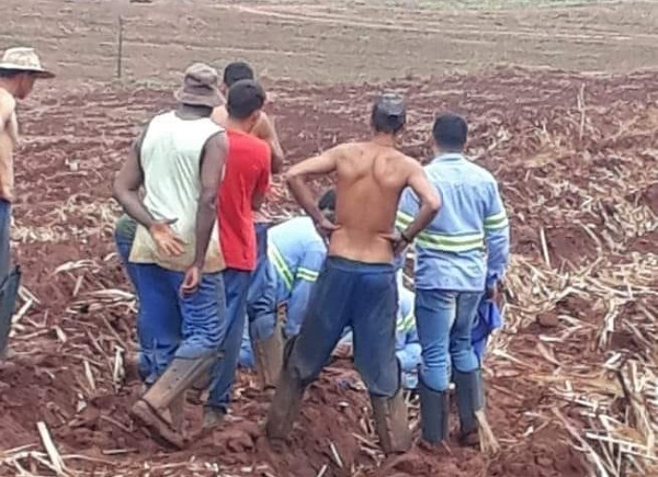 Raio mata trabalhador rural no Paraná