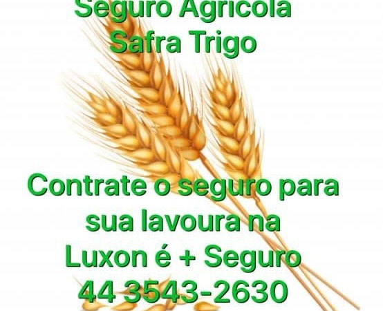 Previna – se: Contrate o seguro para safra de trigo da Luxon é + Seguro