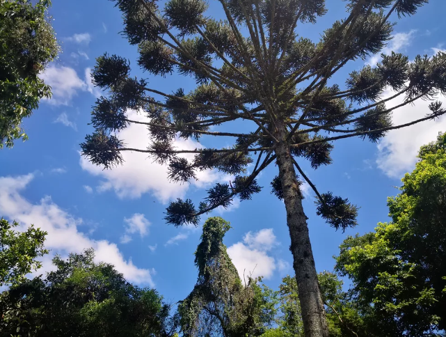 Outono no Paraná com expectativa de chuvas e temperaturas na média histórica